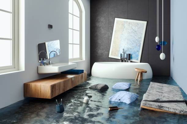 Best Water damage restoration specialists  in Brightwood, VA