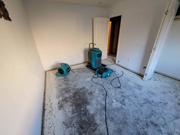 Best Flood damage cleanup  in Brightwood, VA