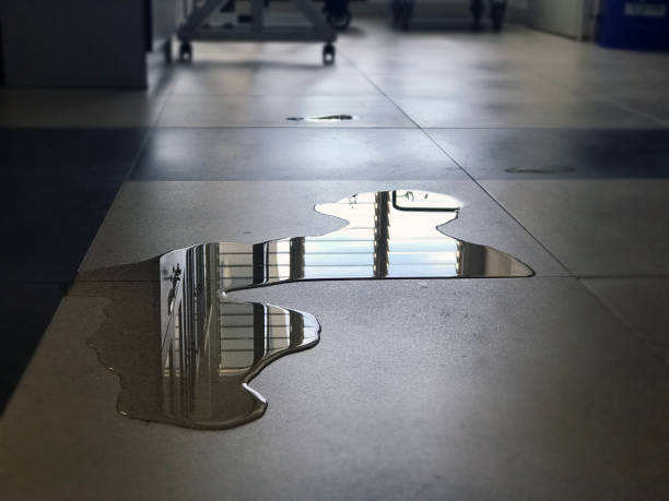 Best Professional water damage repair  in Brightwood, VA
