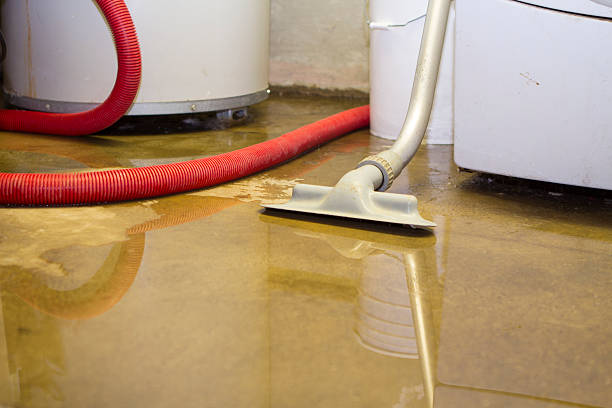 Best Local water damage restoration  in Brightwood, VA