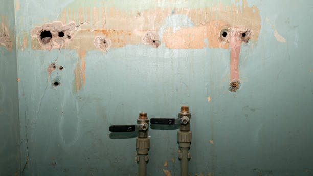 Carpet water damage restoration in VA