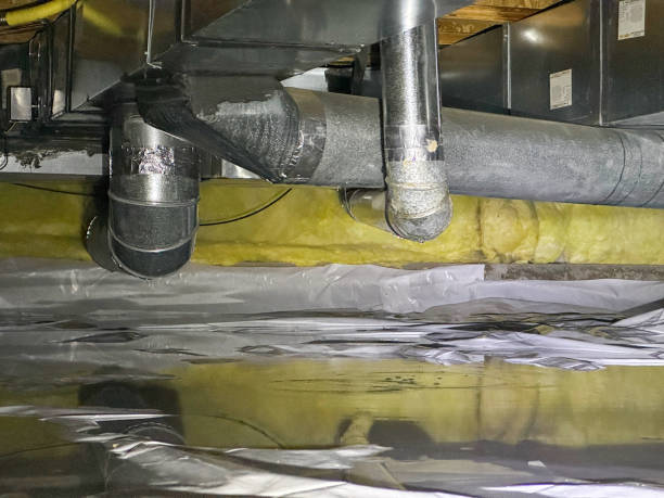 Best Professional water damage repair  in Brightwood, VA